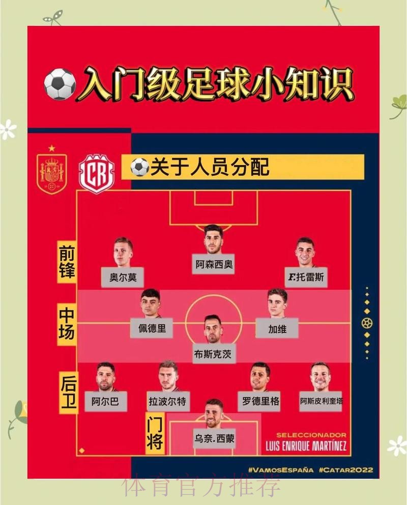 世界杯投注经验分享：新手必读的入门指南
